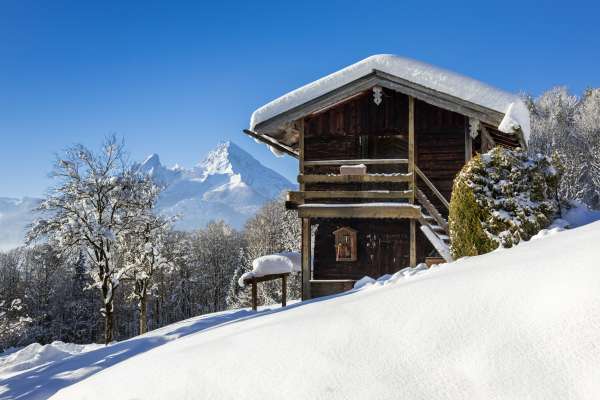 Bild aus der Galerie