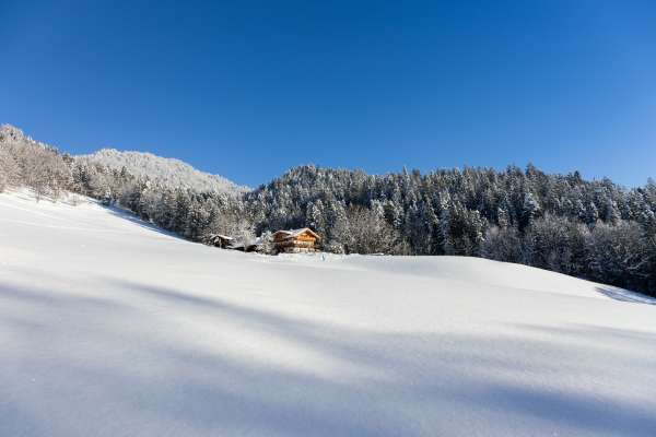 Bild aus der Galerie