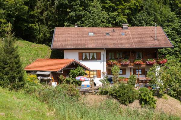 Bild aus der Galerie