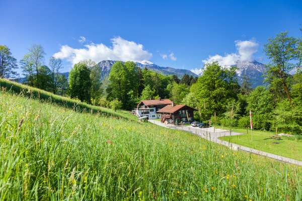 Bild aus der Galerie