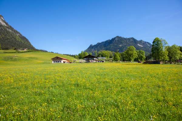 Bild aus der Galerie