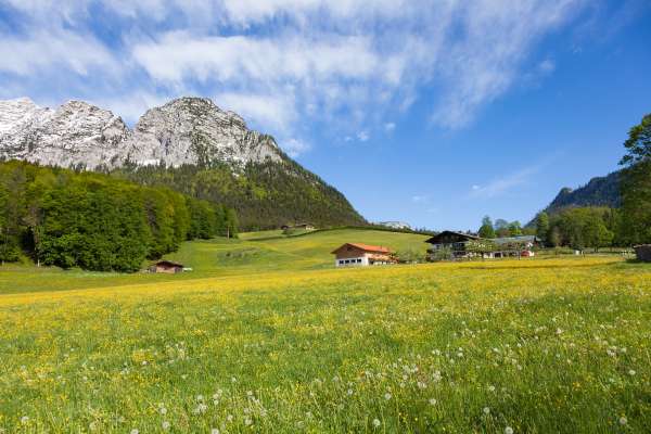 Bild aus der Galerie