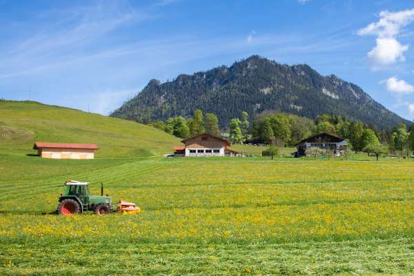 Bild aus der Galerie