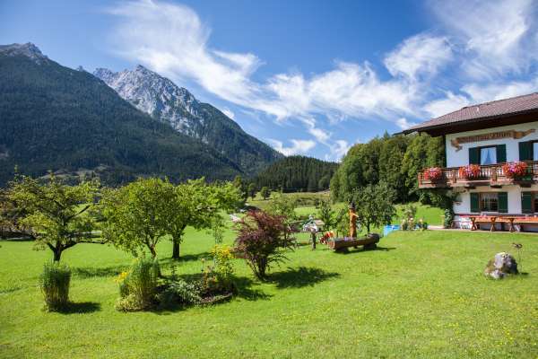 Bild aus der Galerie