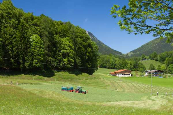 Bild aus der Galerie