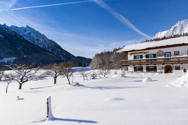 Bild aus der Galerie