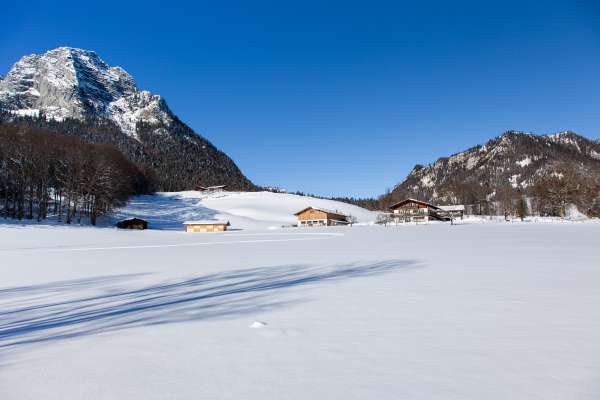 Bild aus der Galerie