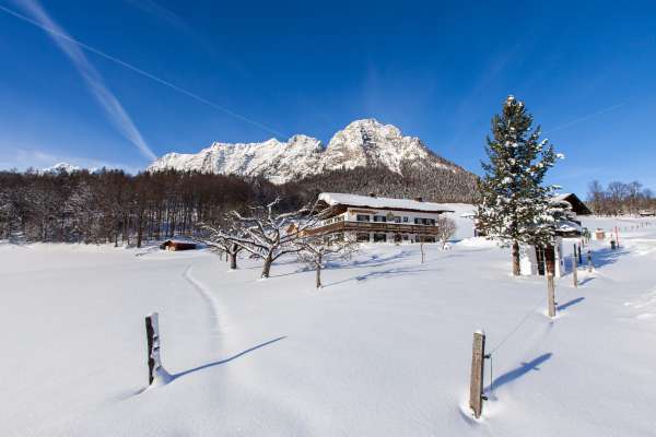 Bild aus der Galerie