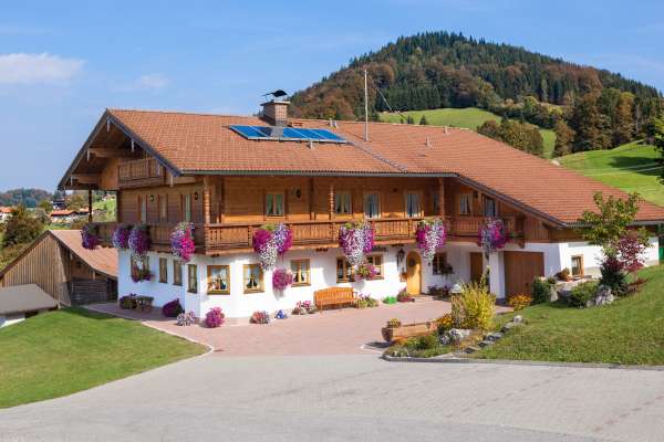 Bild aus der Galerie