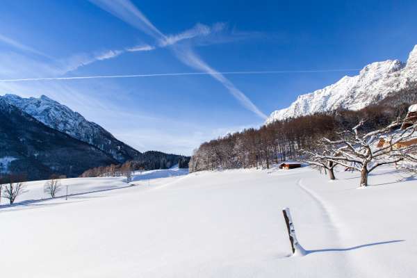 Bild aus der Galerie