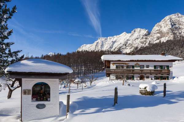 Bild aus der Galerie