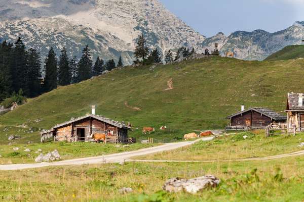 Bild aus der Galerie