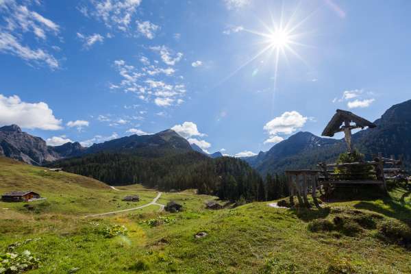 Bild aus der Galerie