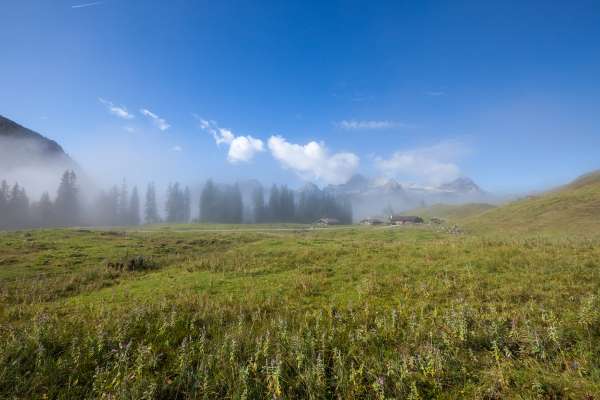 Bild aus der Galerie