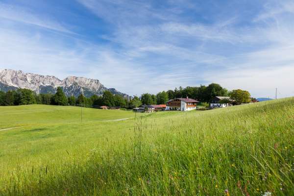 Mehr zu Gästehaus Lärcheck