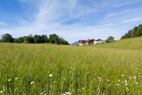 Bild aus der Galerie