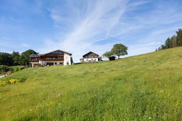 Bild aus der Galerie