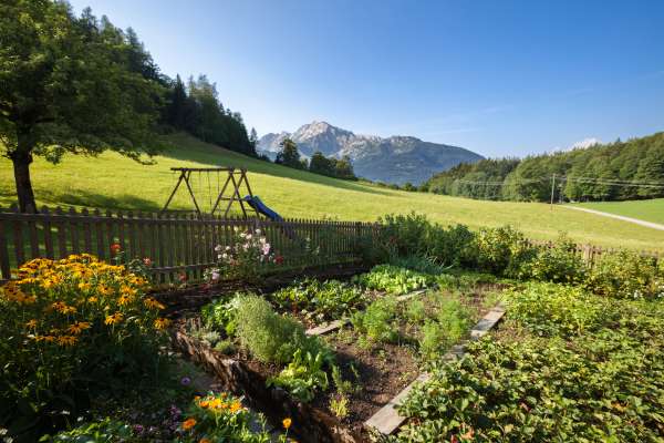 Bild aus der Galerie