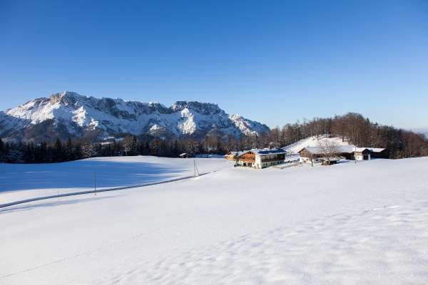 Bild aus der Galerie