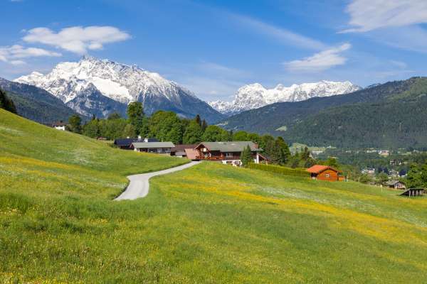 Bild aus der Galerie