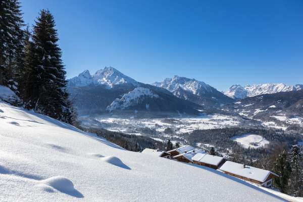 Bild aus der Galerie