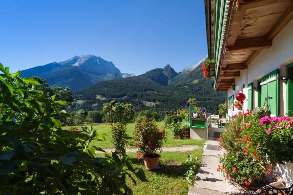 Bild aus der Galerie