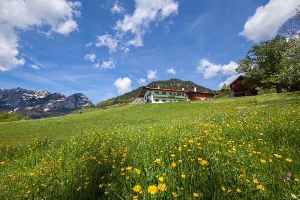 Bild aus der Galerie