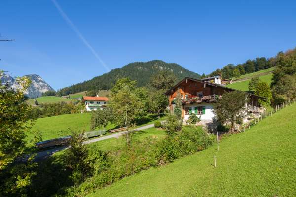 Bild aus der Galerie