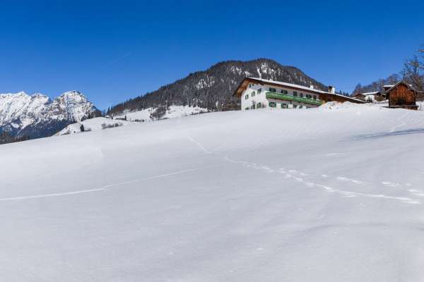 Bild aus der Galerie