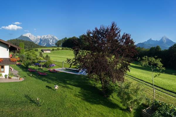 Bild aus der Galerie