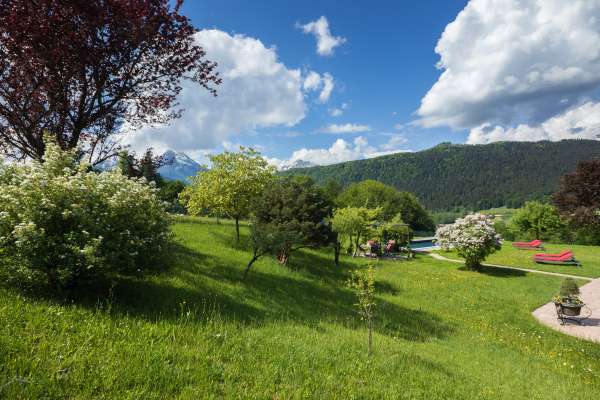 Bild aus der Galerie